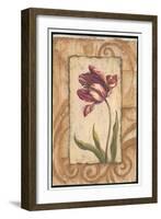 Classic Tulip II-Jillian Jeffrey-Framed Art Print