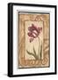 Classic Tulip II-Jillian Jeffrey-Framed Art Print