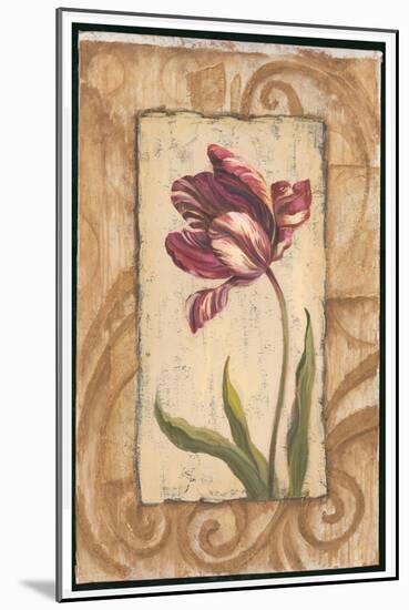 Classic Tulip II-Jillian Jeffrey-Mounted Art Print