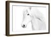 Classic White-Samantha Carter-Framed Art Print