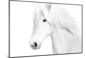 Classic White-Samantha Carter-Mounted Art Print