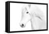 Classic White-Samantha Carter-Framed Stretched Canvas