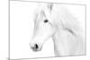 Classic White-Samantha Carter-Mounted Art Print