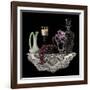 Classic-Sandra Willard-Framed Giclee Print