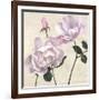 Classica II-Remy Dellal-Framed Art Print