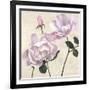 Classica II-Remy Dellal-Framed Art Print