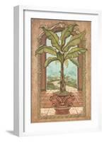 Classical Banana Tree-Janet Kruskamp-Framed Art Print