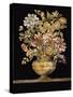 Classical Botanical - Noir-Emma Hill-Stretched Canvas