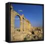 Classical Columns, Palmyra, Syria-Christopher Rennie-Framed Stretched Canvas