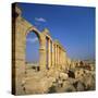 Classical Columns, Palmyra, Syria-Christopher Rennie-Stretched Canvas