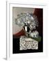 Classical Hydrangea-Sandra Willard-Framed Giclee Print