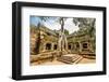 Classical Picture of Ta Prohm Temple, Angkor, Cambodia-dmitry kushch-Framed Photographic Print