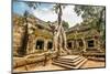 Classical Picture of Ta Prohm Temple, Angkor, Cambodia-dmitry kushch-Mounted Photographic Print