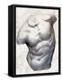 Classical Study VII-Alonzo Saunders-Framed Stretched Canvas