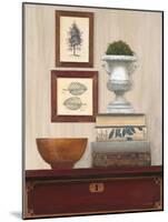 Classical Vignette-Arnie Fisk-Mounted Art Print