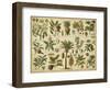 Classification of Tropical Plants-Vision Studio-Framed Premium Giclee Print