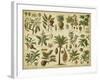 Classification of Tropical Plants-Vision Studio-Framed Art Print