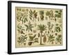 Classification of Tropical Plants-Vision Studio-Framed Art Print