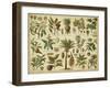 Classification of Tropical Plants-Vision Studio-Framed Art Print