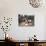 Classroom Full of Children Studying, Teferi Ber, Ethiopia, Africa-D H Webster-Photographic Print displayed on a wall