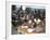 Classroom Full of Children Studying, Teferi Ber, Ethiopia, Africa-D H Webster-Framed Photographic Print