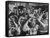 Classroom Full of Students Circling Fingers Around Eyes in Form of Glasses During Music Class-Francis Miller-Framed Stretched Canvas