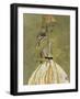 Classy and Cultured I-Kelsey Hochstatter-Framed Art Print