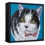 Classy Cat I-Carolee Vitaletti-Framed Stretched Canvas