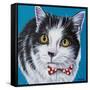 Classy Cat I-Carolee Vitaletti-Framed Stretched Canvas