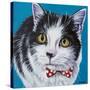 Classy Cat I-Carolee Vitaletti-Stretched Canvas