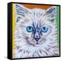 Classy Cat II-Carolee Vitaletti-Framed Stretched Canvas
