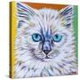 Classy Cat II-Carolee Vitaletti-Stretched Canvas