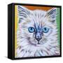 Classy Cat II-Carolee Vitaletti-Framed Stretched Canvas