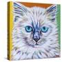 Classy Cat II-Carolee Vitaletti-Stretched Canvas