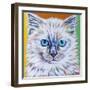 Classy Cat II-Carolee Vitaletti-Framed Art Print