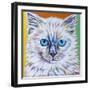 Classy Cat II-Carolee Vitaletti-Framed Art Print