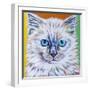 Classy Cat II-Carolee Vitaletti-Framed Art Print