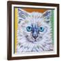 Classy Cat II-Carolee Vitaletti-Framed Art Print