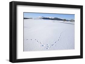 Clatteringshaws Loch, Frozen and Covered in Winter Snow, Dumfries and Galloway, Scotland, UK-Gary Cook-Framed Photographic Print