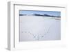 Clatteringshaws Loch, Frozen and Covered in Winter Snow, Dumfries and Galloway, Scotland, UK-Gary Cook-Framed Photographic Print