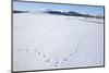 Clatteringshaws Loch, Frozen and Covered in Winter Snow, Dumfries and Galloway, Scotland, UK-Gary Cook-Mounted Photographic Print