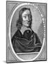 Wood Mount