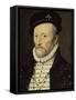 Claude Gouffier, marquis de Boisy, duc de Roannez en 1556, Grand Ecuyer de France (1501-vers 1570)-null-Framed Stretched Canvas