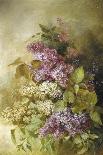 Study of Lilac-Claude Massman-Giclee Print