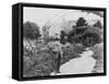 Claude Monet (1841-1926) in His Garden at Giverny, C.1925 (B/W Photo)-French Photographer-Framed Stretched Canvas