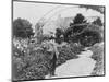 Claude Monet (1841-1926) in His Garden at Giverny, C.1925 (B/W Photo)-French Photographer-Mounted Giclee Print