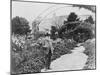 Claude Monet (1841-1926) in His Garden at Giverny, C.1925 (B/W Photo)-French Photographer-Mounted Giclee Print