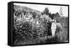 Claude Monet at Giverny, 1908-French Photographer-Framed Stretched Canvas