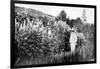 Claude Monet at Giverny, 1908-French Photographer-Framed Premium Photographic Print