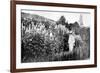 Claude Monet at Giverny, 1908-French Photographer-Framed Photographic Print